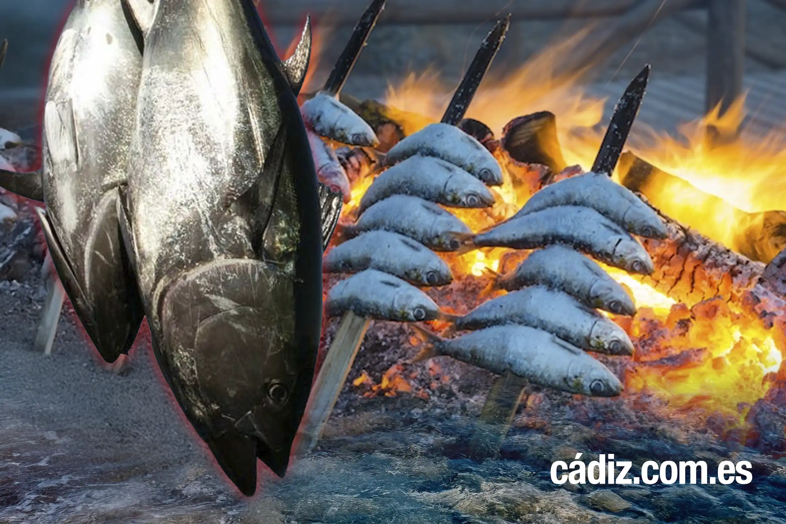 Gastronomía de Cádiz