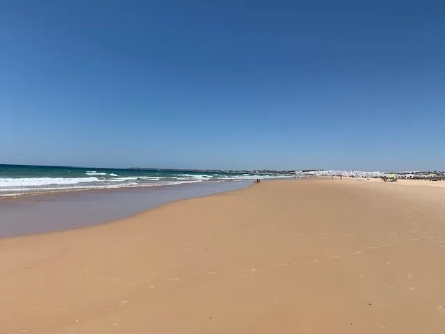 El Palmar